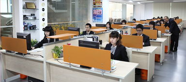 企业 零 距离之猛狮科技 打造世界级环保工厂