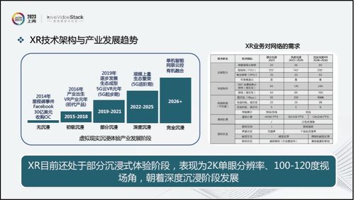 沉浸式XR通信与交互技术的现状探索与未来展望